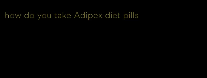 how do you take Adipex diet pills