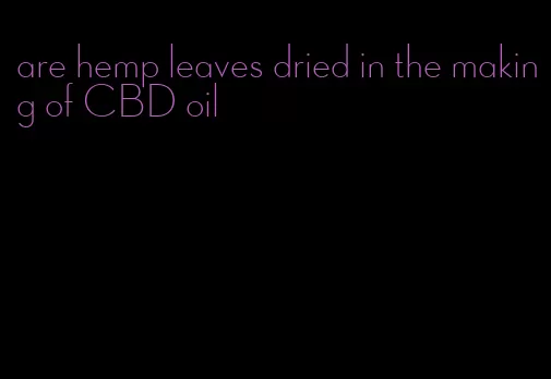 are hemp leaves dried in the making of CBD oil