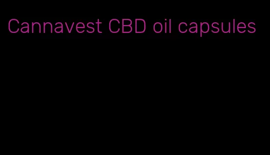Cannavest CBD oil capsules