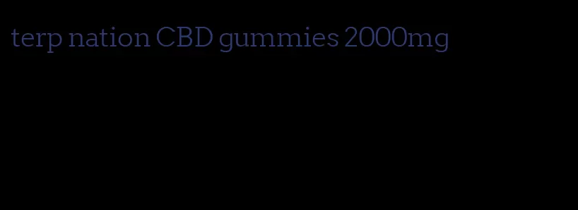 terp nation CBD gummies 2000mg