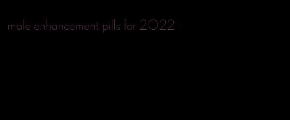 male enhancement pills for 2022
