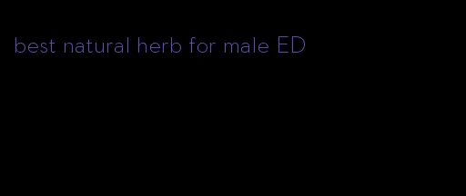 best natural herb for male ED
