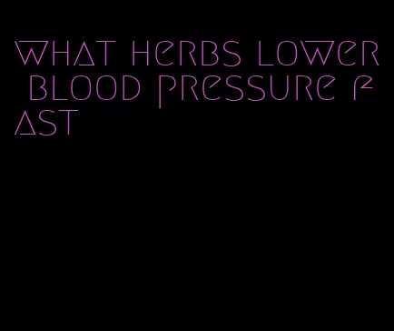 what herbs lower blood pressure fast