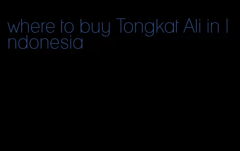 where to buy Tongkat Ali in Indonesia