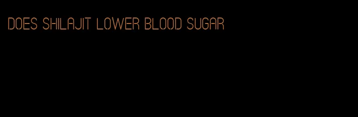 does Shilajit lower blood sugar