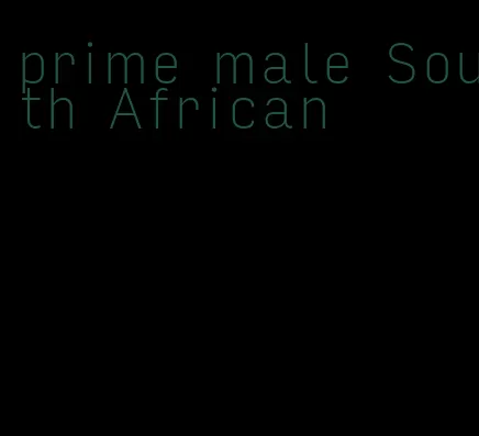 prime male South African