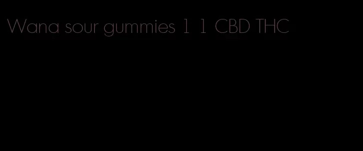 Wana sour gummies 1 1 CBD THC
