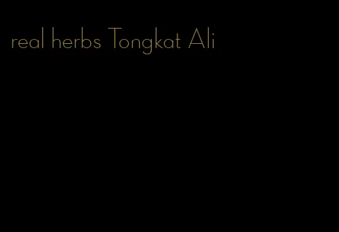 real herbs Tongkat Ali