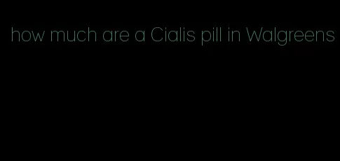 how much are a Cialis pill in Walgreens