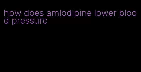 how does amlodipine lower blood pressure