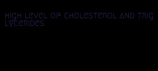 high level of cholesterol and triglycerides