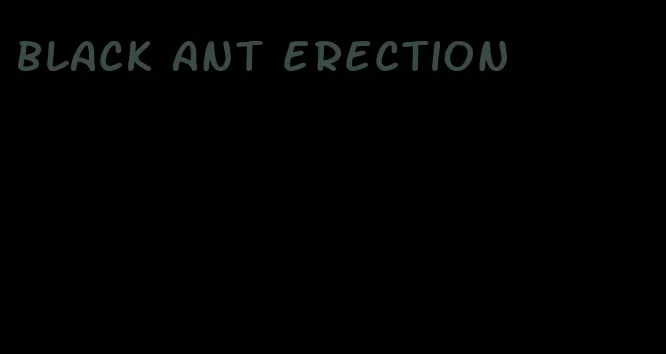 black ant erection