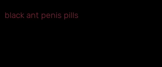 black ant penis pills