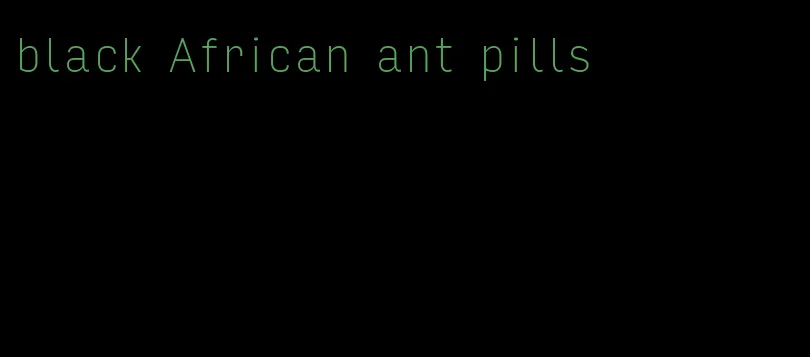 black African ant pills