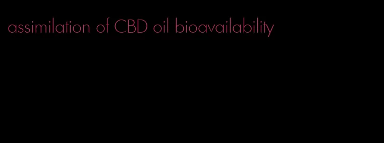 assimilation of CBD oil bioavailability
