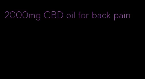 2000mg CBD oil for back pain