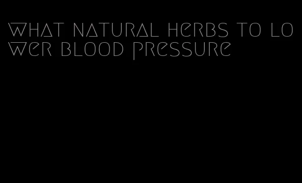 what natural herbs to lower blood pressure