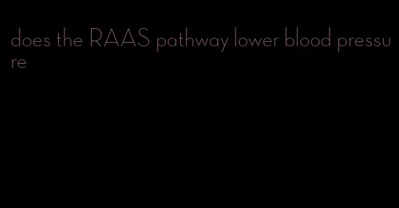 does the RAAS pathway lower blood pressure
