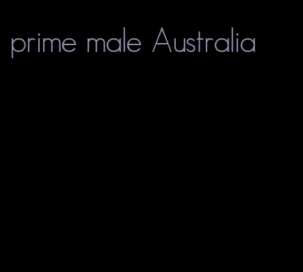 prime male Australia