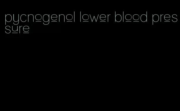pycnogenol lower blood pressure