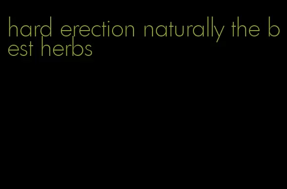 hard erection naturally the best herbs