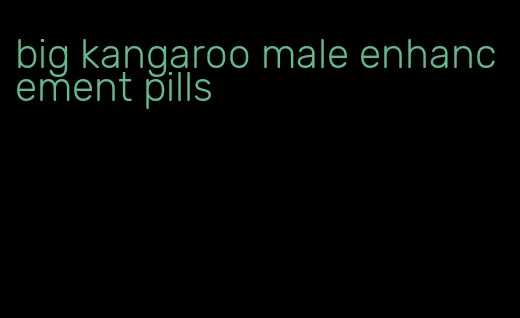 big kangaroo male enhancement pills