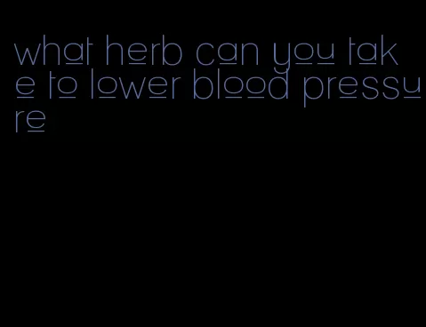 what herb can you take to lower blood pressure