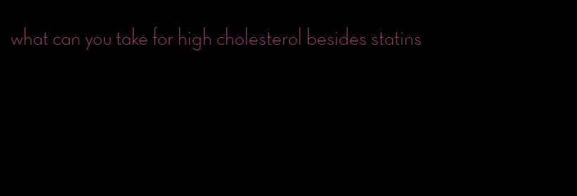 what can you take for high cholesterol besides statins