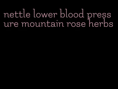 nettle lower blood pressure mountain rose herbs