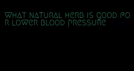 what natural herb is good for lower blood pressure