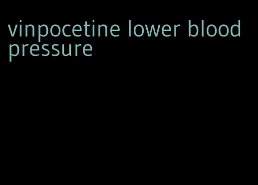 vinpocetine lower blood pressure