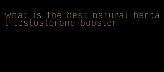 what is the best natural herbal testosterone booster