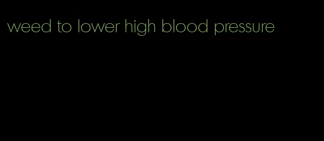 weed to lower high blood pressure
