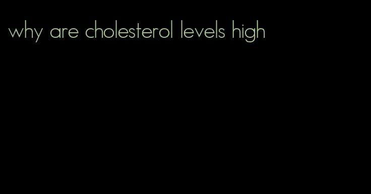 why are cholesterol levels high