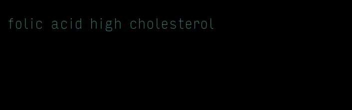 folic acid high cholesterol