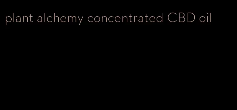 plant alchemy concentrated CBD oil