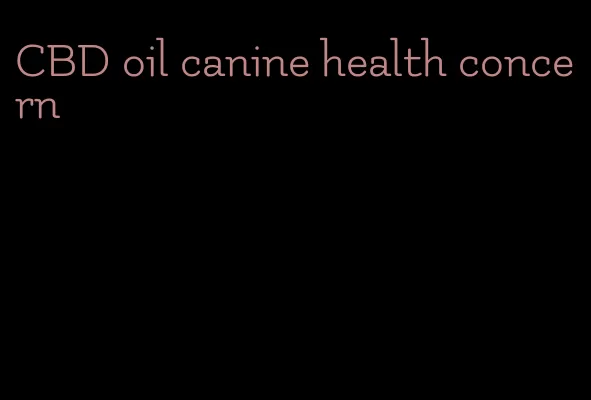 CBD oil canine health concern
