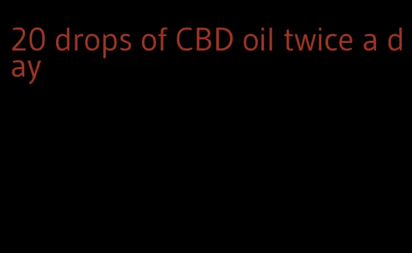 20 drops of CBD oil twice a day