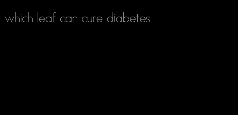 which leaf can cure diabetes