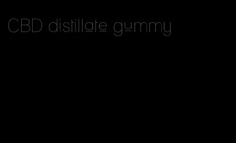 CBD distillate gummy