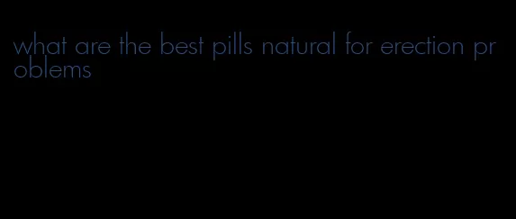 what are the best pills natural for erection problems