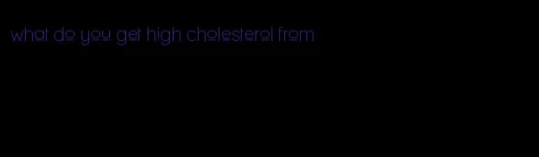 what do you get high cholesterol from