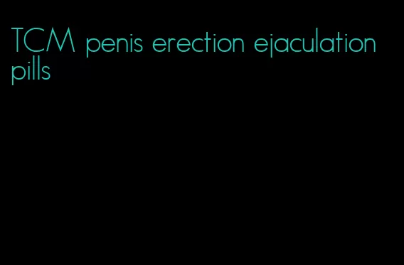 TCM penis erection ejaculation pills