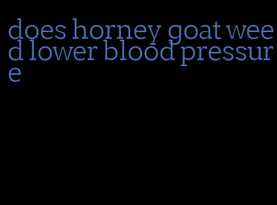 does horney goat weed lower blood pressure