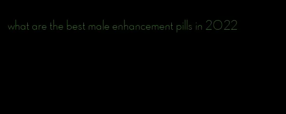 what are the best male enhancement pills in 2022