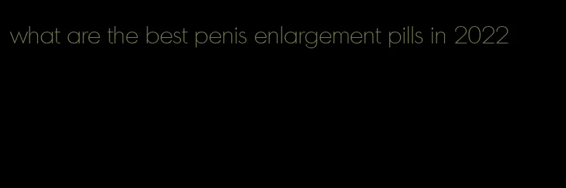 what are the best penis enlargement pills in 2022
