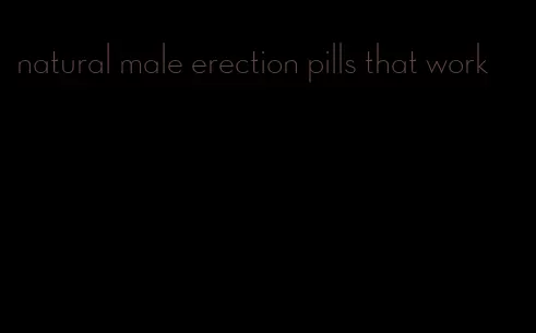 natural male erection pills that work