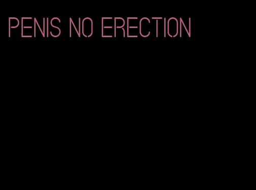 penis no erection