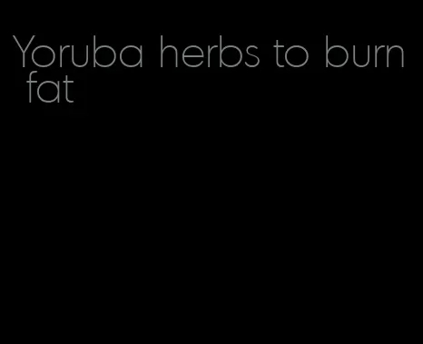 Yoruba herbs to burn fat