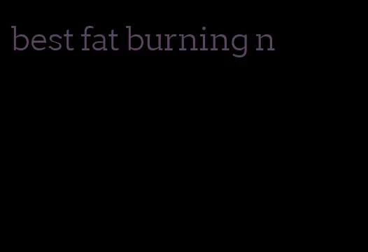 best fat burning n